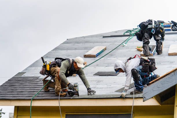 Professional Roofing technician working in Plush, OR
